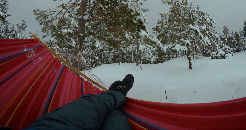 Winter Hammocking.png